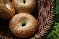 Bagels fresh Bread Bakery Food Sesame Healthy Traditional Royalty Free Stock Photo