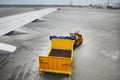 Baggage trolleys Royalty Free Stock Photo