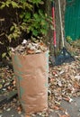 Bagging fall Leaves Royalty Free Stock Photo