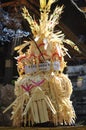 This is bagia, it's belong to a spesial ceremony in bali