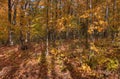 Bagley Nature Area in Autumn