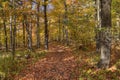 Bagley Nature Area in Autumn