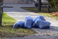 bags with dry leaves. Cleaning the leaves in the park Royalty Free Stock Photo