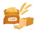 Bags flour, wheat ears and bread. Wheat, rye, rye ear, symbol of farming, bread, harvest. Whole grain, yeast baked bread. food Royalty Free Stock Photo