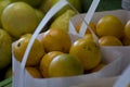 Bags of fresh florida grown oranges Royalty Free Stock Photo