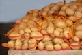 Bags of freshly harvested potatoes are stacked on a pallet. A blue wall in the background. There is space for text Royalty Free Stock Photo