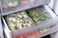 Bags with frozen vegetables in refrigerator. Frozen Zucchini Cubes