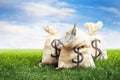 Bags full of money on grass Royalty Free Stock Photo