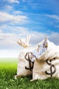 Bags full of money on grass Royalty Free Stock Photo