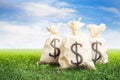 Bags full of money on grass Royalty Free Stock Photo