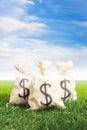 Bags full of money on grass Royalty Free Stock Photo