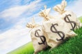 Bags full of money on grass Royalty Free Stock Photo