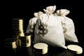 Bags of money and fine gold coins Royalty Free Stock Photo