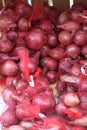 Bags of onions 2929 Royalty Free Stock Photo