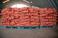 Bags of onions ready to be shipped