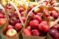 Bags of Organic Apples Royalty Free Stock Photo