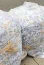 Bags of shredded paper at curb waiting for recycling. Royalty Free Stock Photo