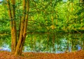 BagsvÃÂ¦rd Lake, Denmark