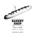 Baguette bread sketch drawing. Hand drawn sketch style bakery shop product. Fresh morning baked food vector illustration for menu