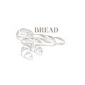 Baguette, Croissant and Swirl Hand Drawn Realistic Sketch