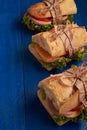 Baguette Sandwiches on the table Royalty Free Stock Photo
