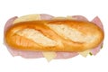 Baguette sub sandwich with ham and cheese from above isolated on white Royalty Free Stock Photo