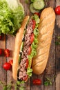 Baguette with tomato, cucumber, salad and tuna fish Royalty Free Stock Photo