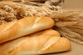 Baguette and wheat Royalty Free Stock Photo