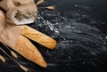 Baguettes bread, flour and wheat spikes. Above view. Royalty Free Stock Photo