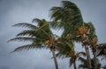 Bahamas Hurricane Royalty Free Stock Photo