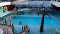 A view of people swimming in the Solarium pool aboard the MSC Cruise Ship Divina