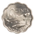 10 bahamian cent coin Royalty Free Stock Photo