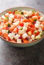 Bahamian Conch Salad taste of the Caribbean with refreshing raw seafood dish closeup on the plate. vertical Royalty Free Stock Photo