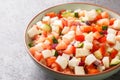 Bahamian conch salad is a vibrant and crunchy salad made using raw pound conch meat and vegetables closeup on the plate.