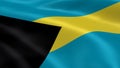 Bahamian flag in the wind
