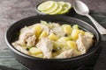 Bahamian stew with chicken wings, potatoes, celery, lime and spices in a clear broth close-up in a plate. Horizontal