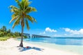 Bahia Honda State Park - Calusa Beach, Florida Keys - tropical coast with paradise beaches - USA Royalty Free Stock Photo