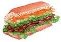 Bahnmi Sandwich Watercolor Illustration 2