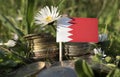 Bahrain flag with stack of money coins with grass Royalty Free Stock Photo
