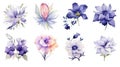 Bahrain Flowers Collection: Watercolor Beauty on a Clean White Background .