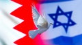 BahrainÃ¢â¬âIsrael Flag Declaration of Peace 2020