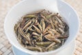 Bai Hao Yin Zhen White Hair Silver Needle white tea Royalty Free Stock Photo