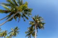 Bai Sao Beach, Phu Quoc Island, Vietnam. Royalty Free Stock Photo