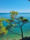 Baia delle zagare in gargano