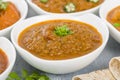 Baigan Bharta Royalty Free Stock Photo