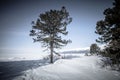 Baikal. Holy Nose Peninsula. Barguzinsky Gulf Coast in the winter. Tinted. Royalty Free Stock Photo