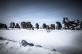 Baikal. Holy Nose Peninsula. Barguzinsky Gulf Coast in the winter. Tinted. Royalty Free Stock Photo