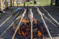 Baikal omul is roasted on the coals. Royalty Free Stock Photo