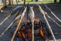 Baikal omul is roasted on the coals. Royalty Free Stock Photo