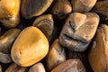 Baikal pebbles on the coast Royalty Free Stock Photo